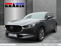 Gebraucht Mazda CX-30 Selection 150 PS (110 kW) 2020 Machine gray SUV