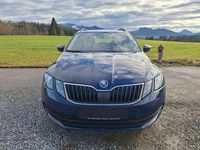 Gebraucht Skoda Octavia Active 86 PS (63 kW) 2017 Pacificblau Kombi