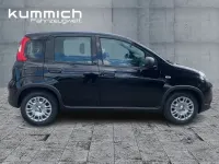 Gebraucht Fiat Panda 69 PS (50 kW) 2024 Schwarz Kleinwagen