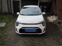 Gebraucht Kia Picanto Vision 79 PS (58 kW) 2024 Weiß Kleinwagen
