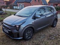 Neu Kia Picanto Vision 63 PS (46 kW) 2025 Grau Kleinwagen