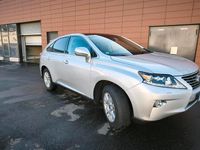 Gebraucht Lexus RX450h+ 249 PS (183 kW) 2014 Grau SUV
