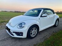 gebraucht VW Beetle Beetle TheCabriolet 1.4 TSI Sound