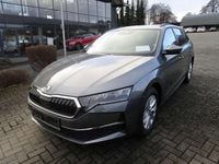 Gebraucht Skoda Octavia Business Line 150 PS (110 kW) 2025 Graphitegrau metallic Kombi