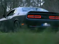 Gebraucht Dodge Challenger 700 PS (514 kW) 2026 Grau Coupé