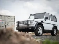Gebraucht Mercedes G230 126 PS (92 kW) 1990 Weiß SUV