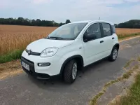 Gebraucht Fiat Panda 69 PS (50 kW) 2023 Weiß Kleinwagen