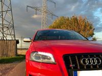 gebraucht Audi S3 8P TÜV Neu, Schalter, Bull X Aga, HFS-Series