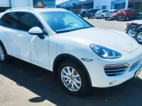 Gebraucht Porsche Cayenne Platinum Edition 245 PS (180 kW) 2014 Weiß SUV