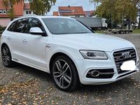 Gebraucht Audi SQ5 Competition 326 PS (239 kW) 2016 Weiß SUV