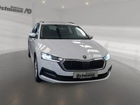 Gebraucht Skoda Octavia Ambition 150 PS (110 kW) 2023 Moonweiss metallic Kombi