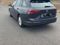Gebraucht VW Golf VIII Life 116 PS (85 kW) 2023 Grau Kombi