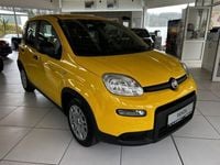 Gebraucht Fiat Panda 69 PS (50 kW) 2024 Sole gelb Kleinwagen