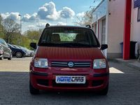 Gebraucht Fiat Panda Dynamic 60 PS (44 kW) 2007 Rosso tiziano Kleinwagen