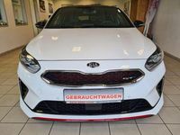 Gebraucht Kia ProCeed 204 PS (150 kW) 2019 Weiß Kleinwagen