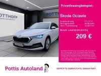 Gebraucht Skoda Octavia Style 116 PS (85 kW) 2023 Candyweiss Kombi