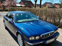 Gebraucht Jaguar XJ8 258 PS (189 kW) 2004 Blau Limousine