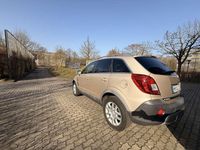 Gebraucht Opel Antara Design Edition 167 PS (122 kW) 2012 Beige SUV