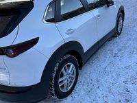 Gebraucht Mazda CX-30 Selection 150 PS (110 kW) 2021 SUV