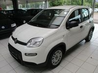 Gebraucht Fiat Panda 51 PS (37 kW) 2024 Weiss Limousine