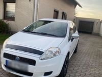 gebraucht Fiat Punto 1.2 8V