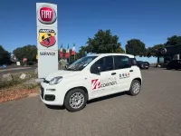 Gebraucht Fiat Panda Easy 69 PS (50 kW) 2018 Weiß Kleinwagen