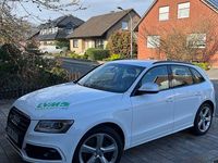 Gebraucht Audi SQ5 Competition 326 PS (239 kW) 2017 Weiß SUV