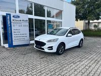 Gebraucht Ford Kuga ST-Line X 150 PS (110 kW) 2020 Frostweiß SUV