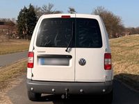 Second-hand VW Caddy 69 CP (50 kW) 2005 Alb Monovolum