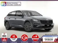 Neu Skoda Scala Dynamic 150 PS (110 kW) 2026 Silber Kleinwagen