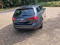 Gebraucht VW Golf Alltrack 184 PS (135 kW) 2015 Kombi