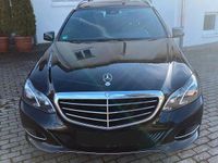 Gebraucht Mercedes E220 Elegance 170 PS (125 kW) 2013 Schwarz Kombi