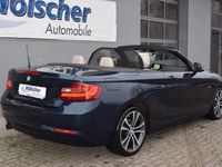 Gebraucht BMW 220 Sport Line 184 PS (135 kW) 2015 Blau Cabrio