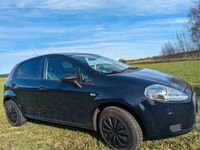 gebraucht Fiat Punto wenig Kilometer Top Zustand