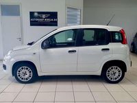 Gebraucht Fiat Panda Easy 69 PS (50 kW) 2019 Weiß Kleinwagen