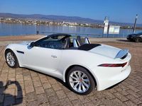 Gebraucht Jaguar F-Type Chequered Flag 340 PS (250 kW) 2019 Weiß Cabrio