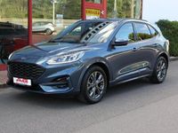 Gebraucht Ford Kuga ST-Line 120 PS (88 kW) 2024 Blau SUV