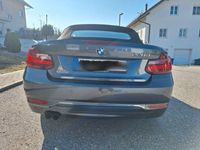 gebraucht BMW 220 d Cabrio Sport Line Sport Line