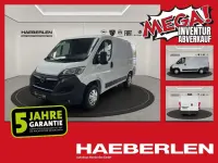 Gebraucht Opel Movano Edition 120 PS (88 kW) 2022 Casabl/arctic/eisweiss/kaolin Van