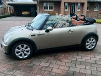 Usata Mini Cooper Cabriolet 90 CV (66 kW) 2007 Cabrio