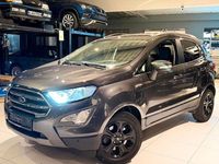 Gebraucht Ford Ecosport Titanium 140 PS (102 kW) 2020 Grau SUV