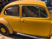 Gebraucht VW Käfer 34 PS (25 kW) 1968 Gelb Kleinwagen