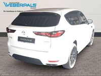 Neu Mazda CX-60 254 PS (186 kW) 2025 Weiß SUV