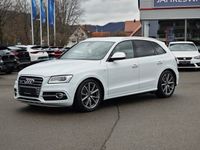 Gebraucht Audi SQ5 Competition 326 PS (239 kW) 2017 Weiß SUV