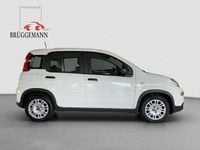 Gebraucht Fiat Panda 69 PS (50 kW) 2023 (weiss) Kleinwagen