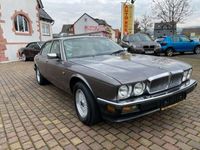 gebraucht Jaguar XJ40 Leder Klima H-Kennz Top Gepflegt