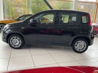 Gebraucht Fiat Panda 69 PS (50 kW) 2024 Schwarz Kleinwagen