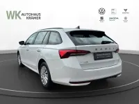 Gebraucht Skoda Octavia Essence 116 PS (85 kW) 2026 Weiss Kombi