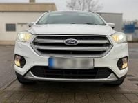 Gebraucht Ford Kuga 120 PS (88 kW) 2019 Weiß SUV