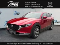 Gebraucht Mazda CX-30 Selection 186 PS (136 kW) 2023 Rot SUV